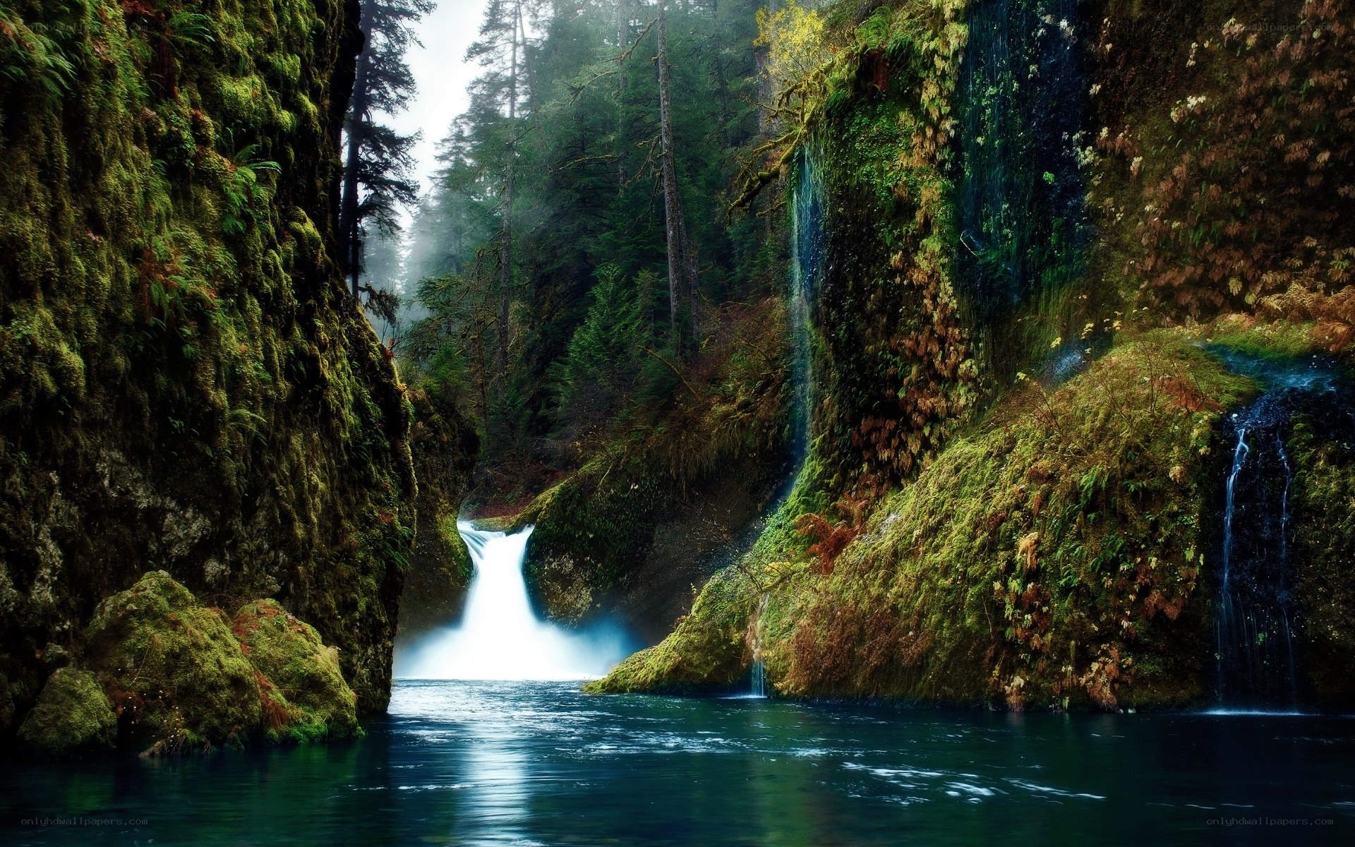 Mossy canyon waterfall