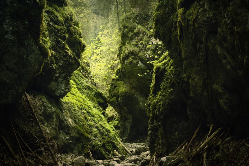 Mossy canyon with sunlight