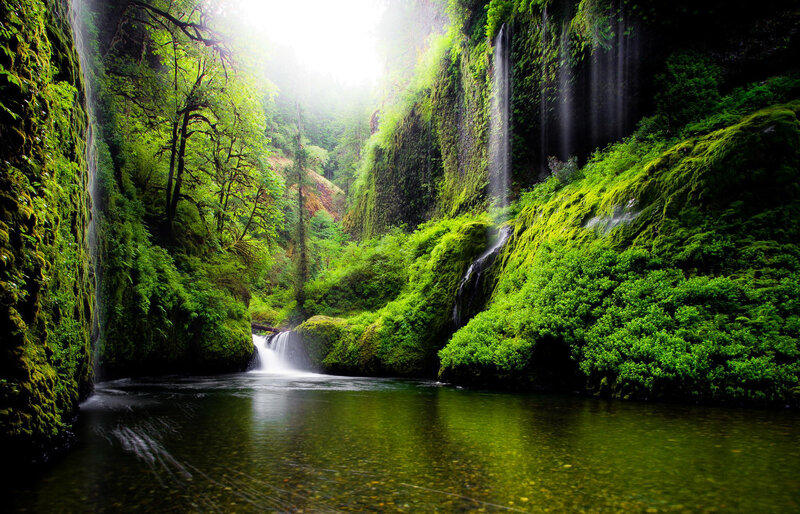 Mossy Canyon with Waterfall