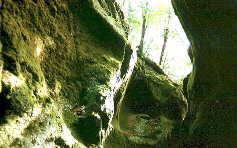Mossy cave opening