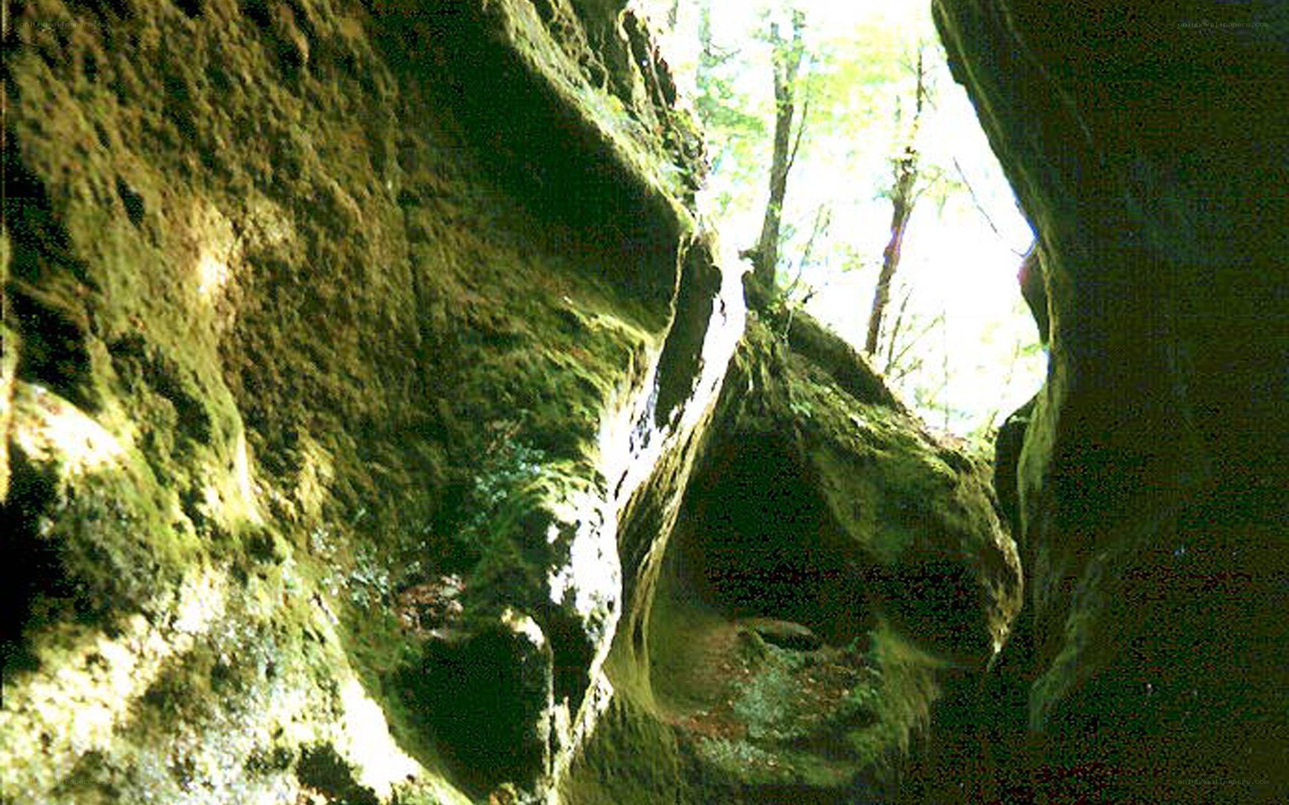 Mossy cave opening