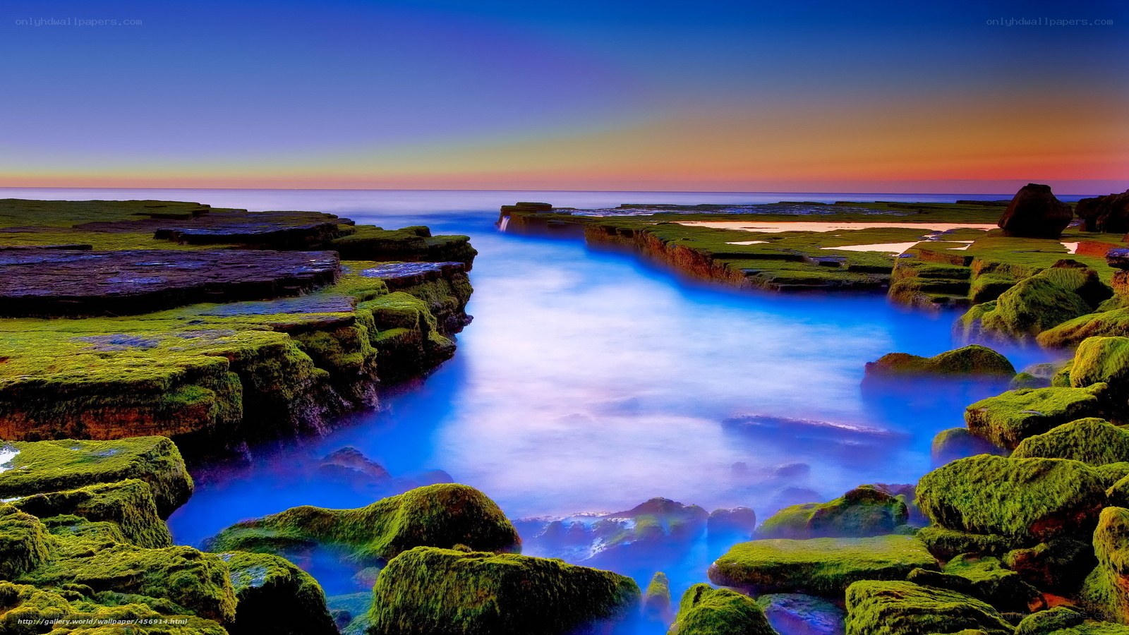 Mossy coastal rocks at sunset