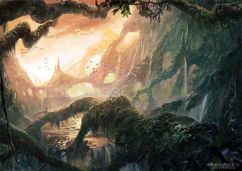 Mossy Forest Canyon