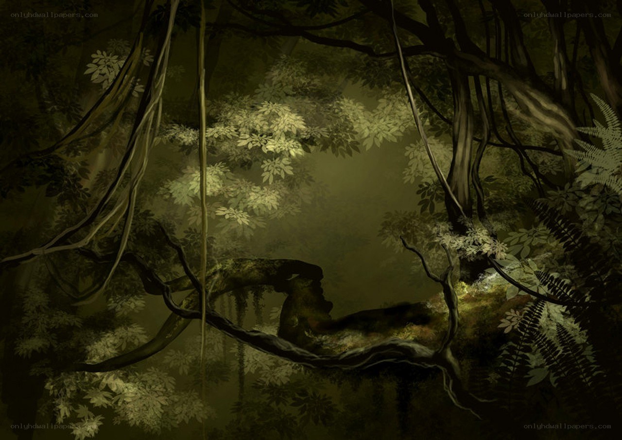 mossy forest clearing