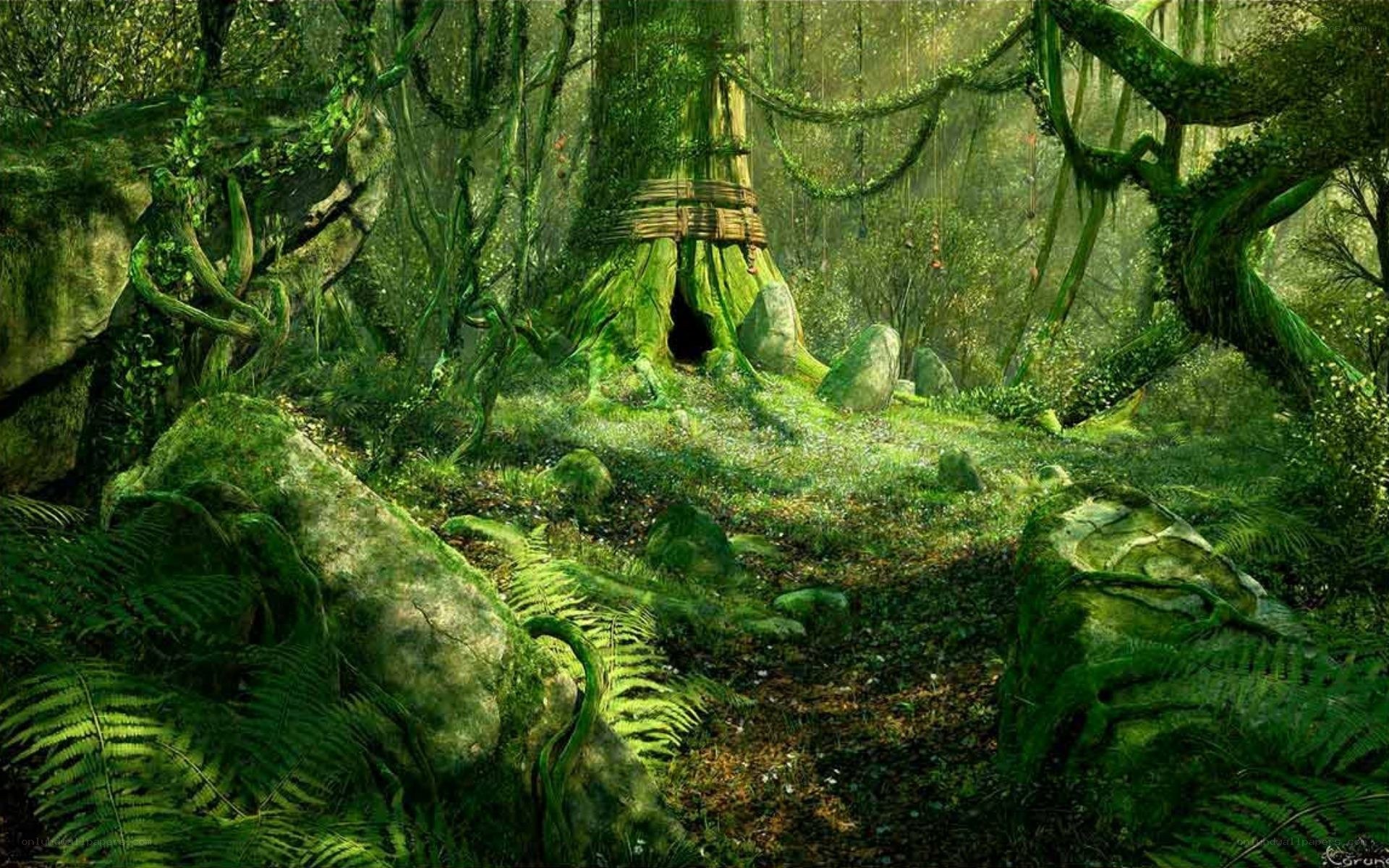 mossy forest clearing