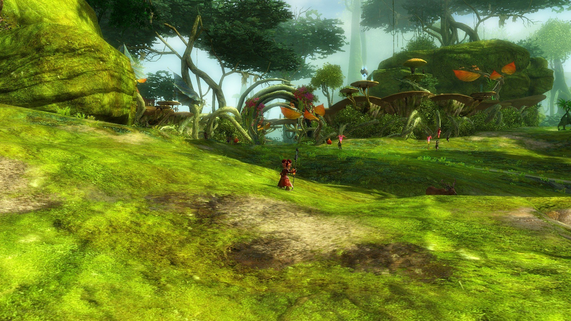 Mossy forest landscape