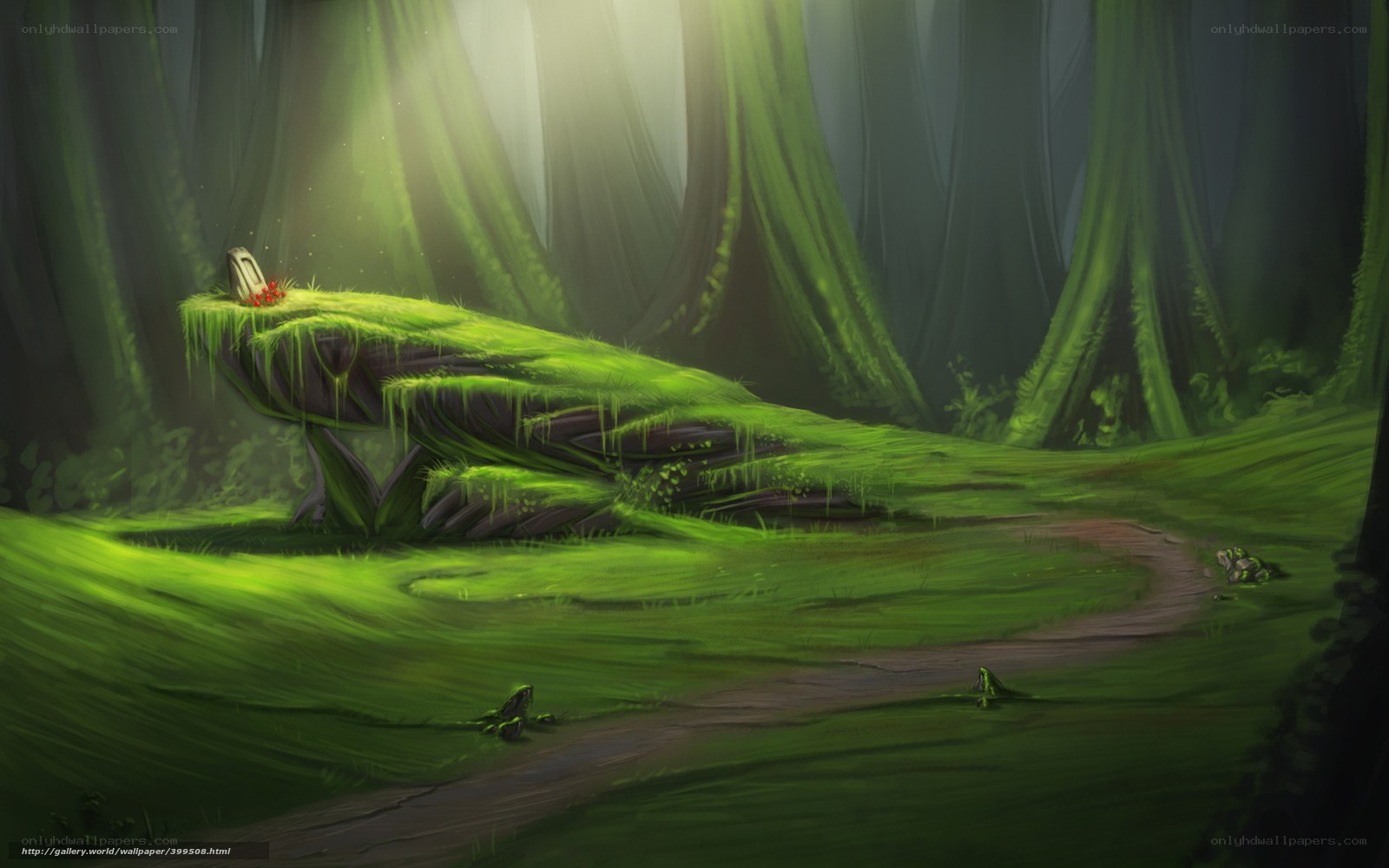Mossy forest path