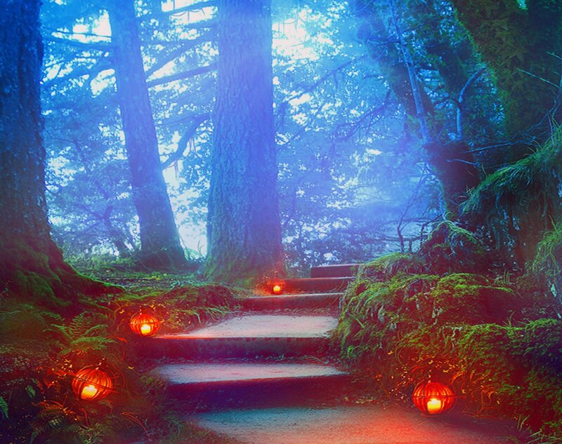 Mossy Forest Path — Blue