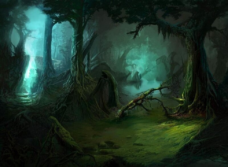 Mossy Forest Path — Green