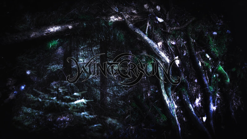 Mossy Forest Roots — Black
