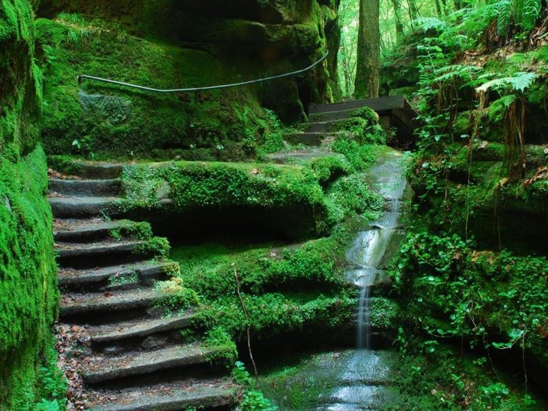 Mossy forest staircase with waterfall
