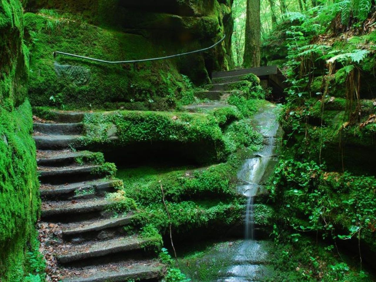 Mossy forest staircase with waterfall