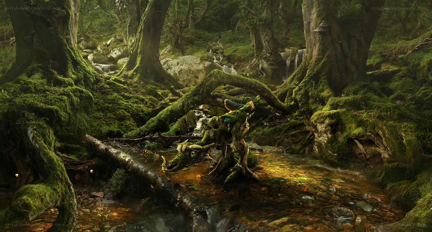 Mossy forest stream with dragon statue