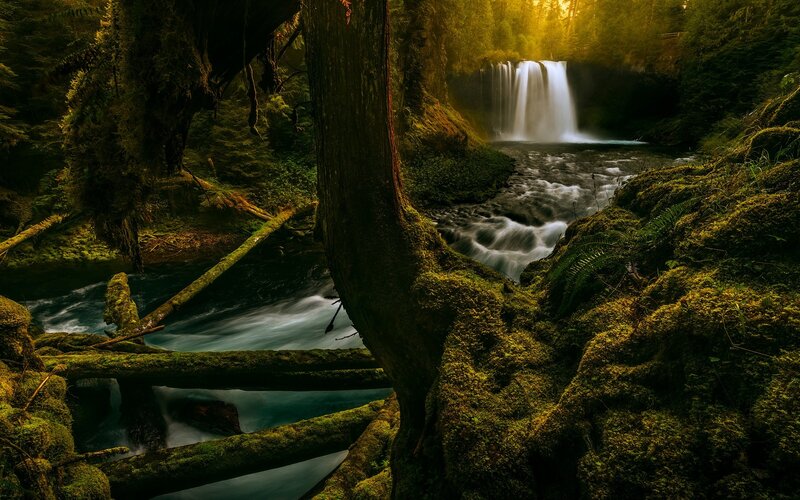 Mossy Forest Waterfall — Green, Serene