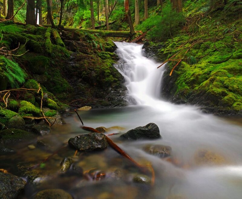 Mossy Forest Waterfall — Green