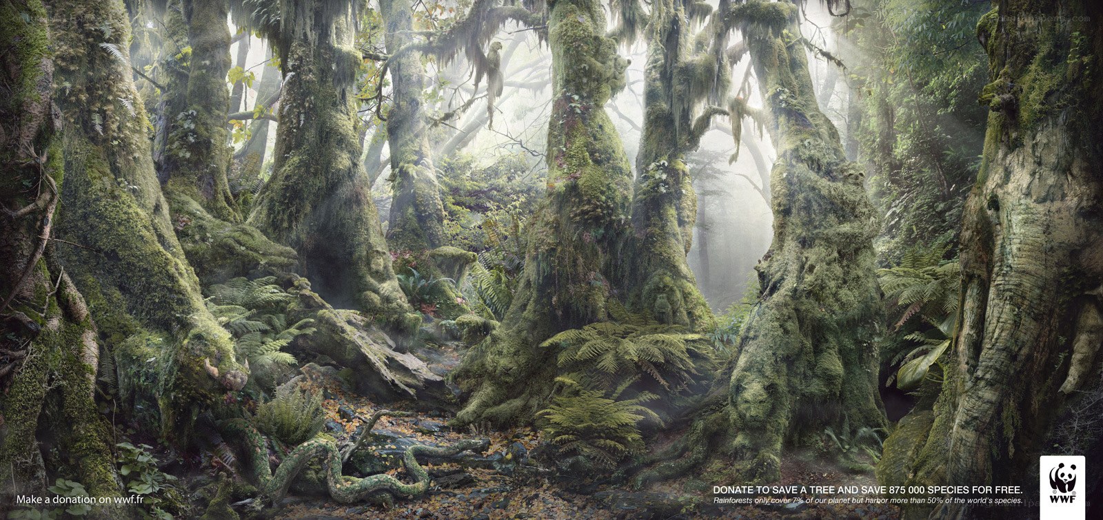 Mossy forest with donation appeal