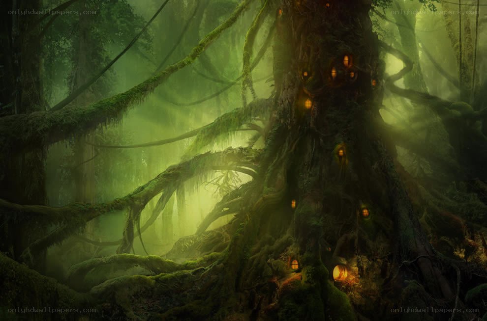 mossy forest with glowing lights