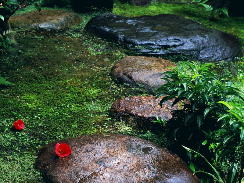 Mossy garden with red flowers
