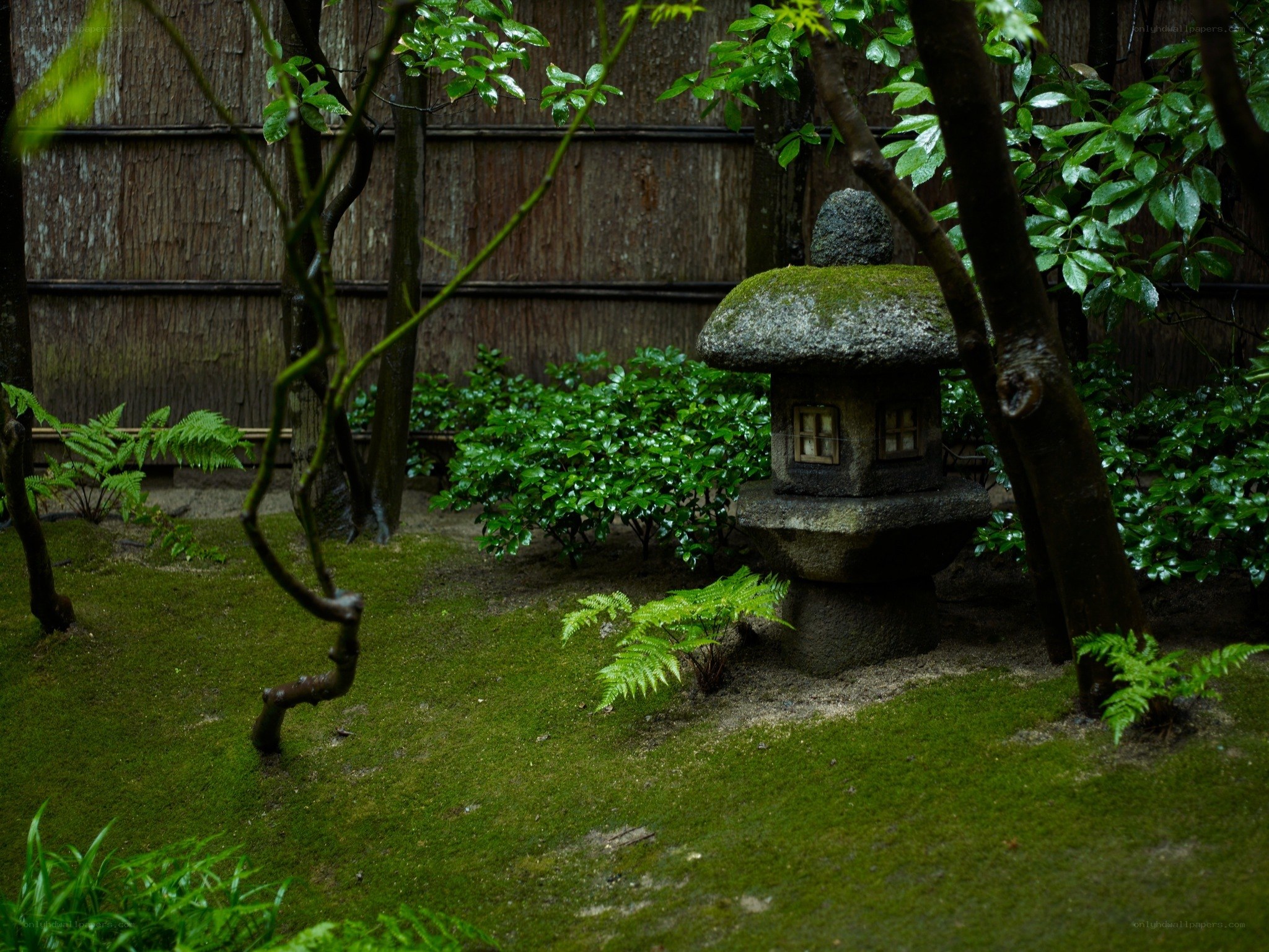 Mossy garden with stone lantern