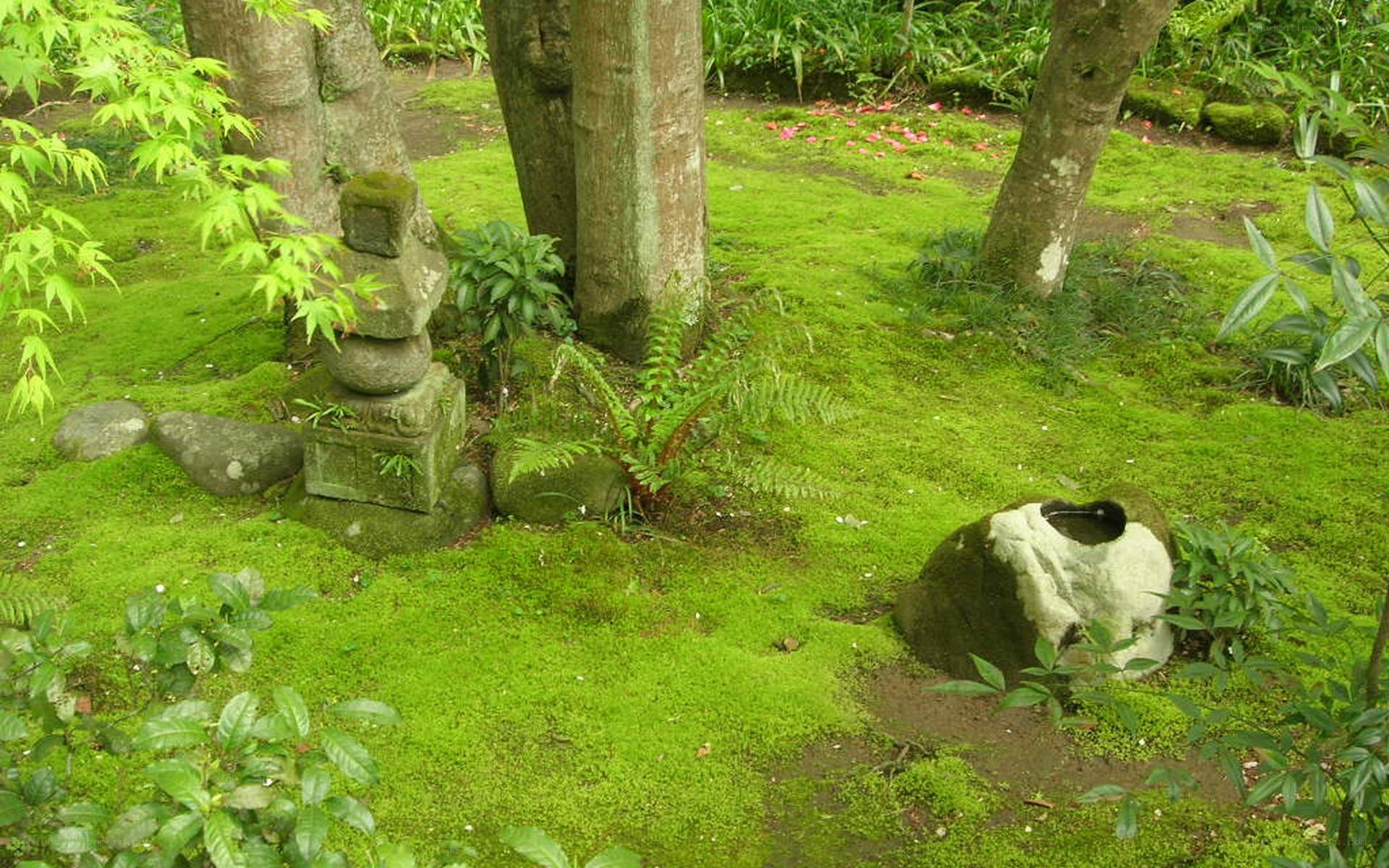 Mossy garden with stone lantern