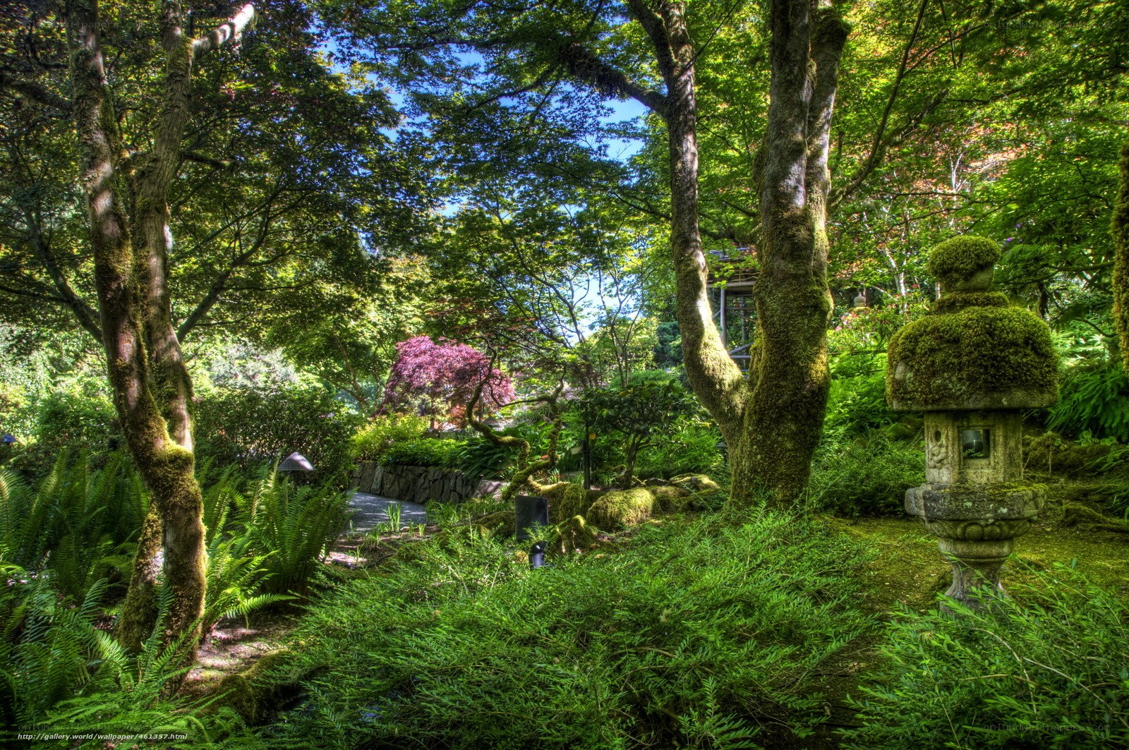 Mossy garden with stone lantern