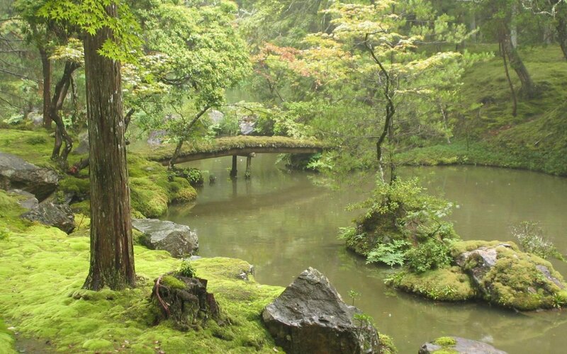 Mossy garden with wooden bridge