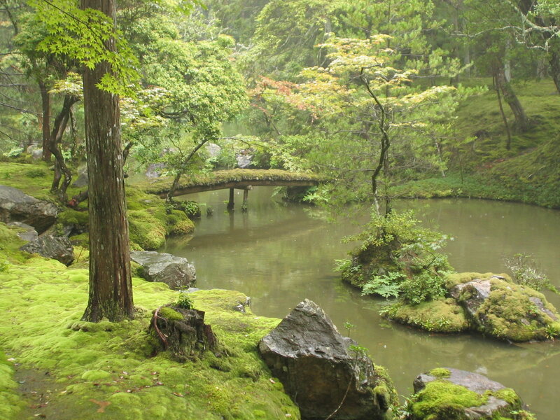 Mossy garden with wooden bridge