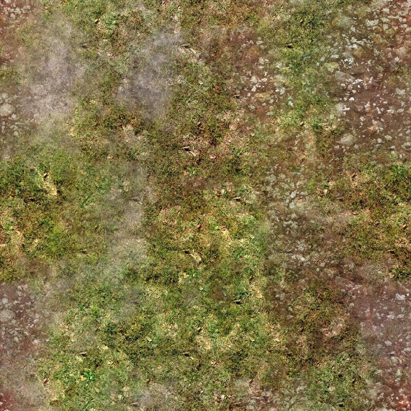 mossy ground texture