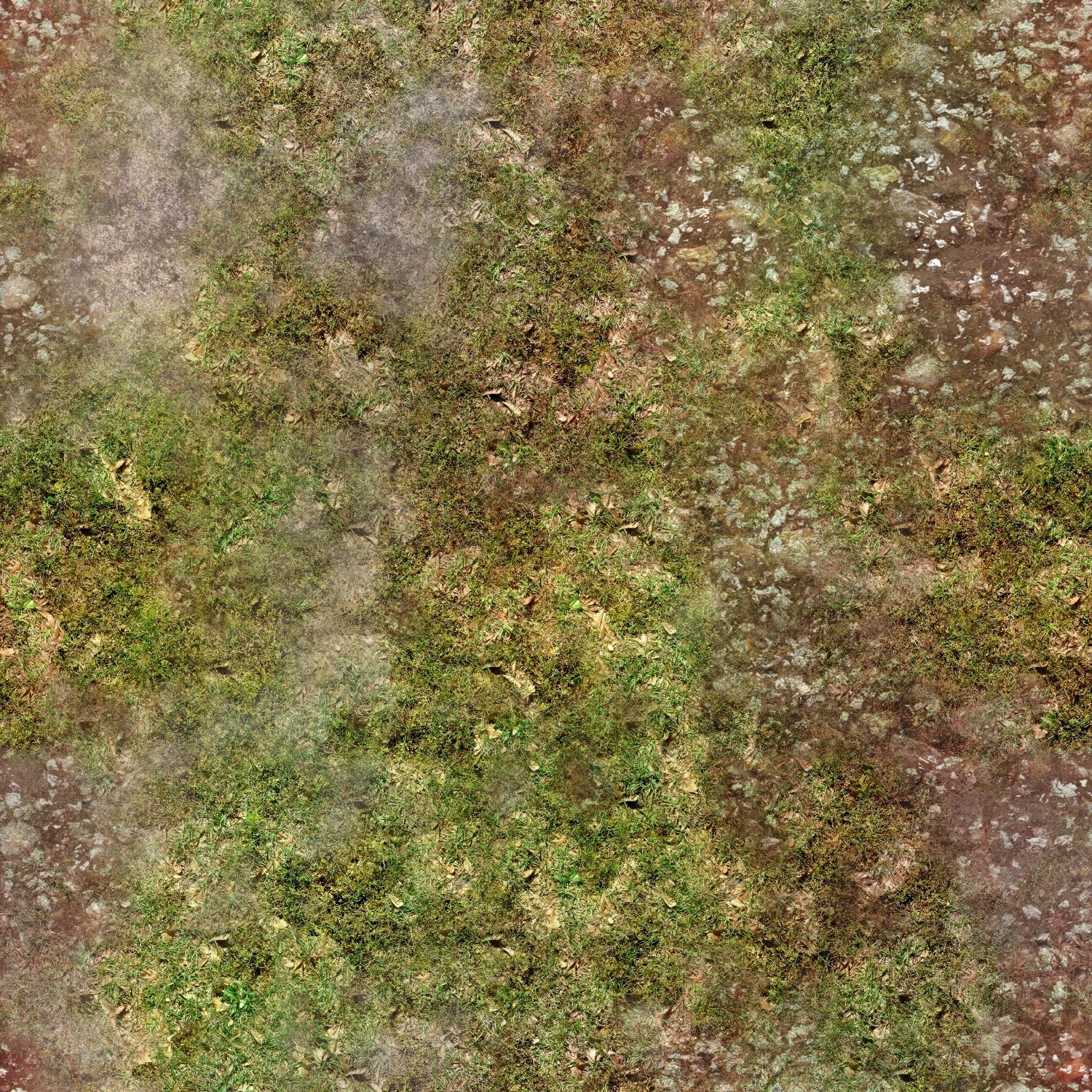 mossy ground texture