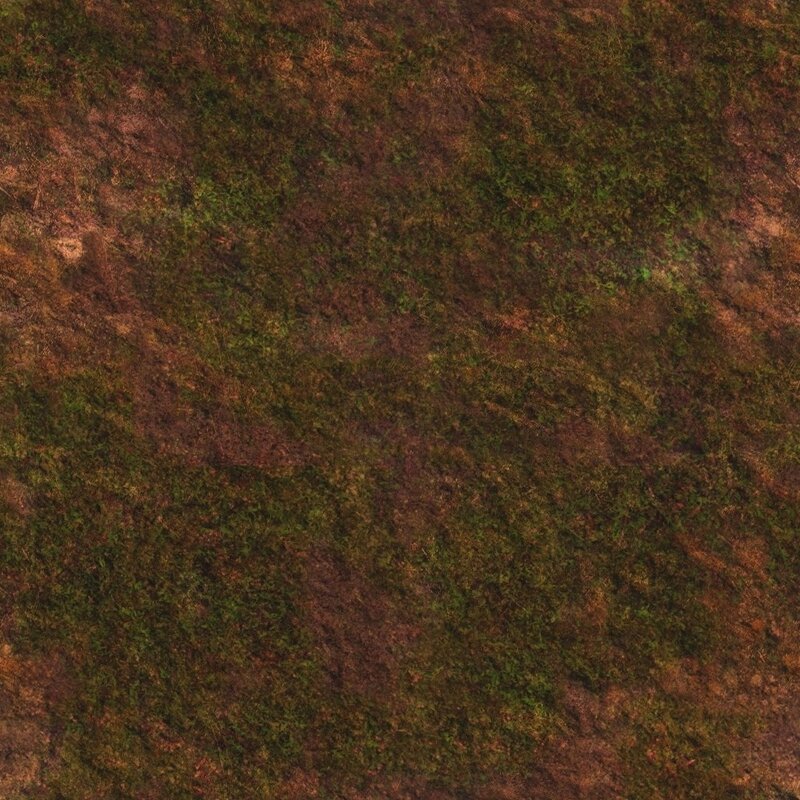 mossy ground texture