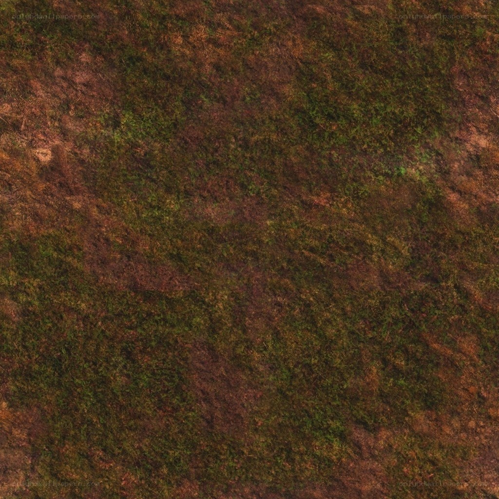 mossy ground texture