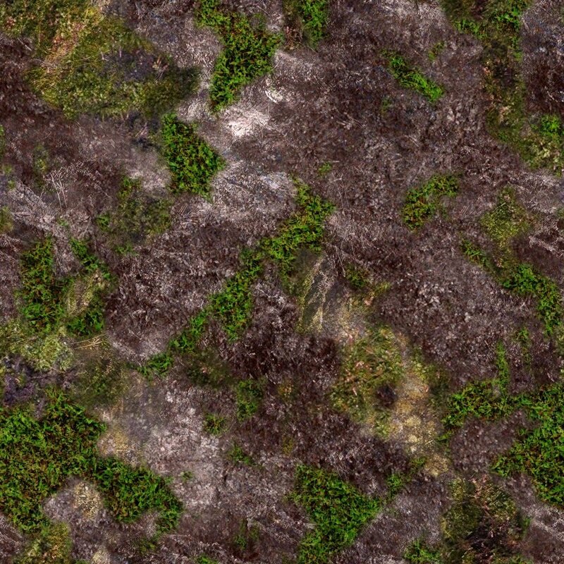 Mossy Ground Texture — Green