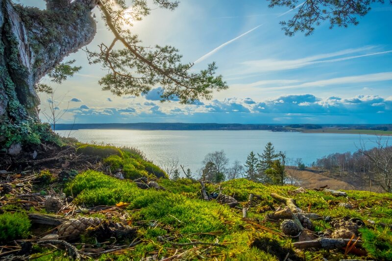 Mossy Hill Overlooking Lake
