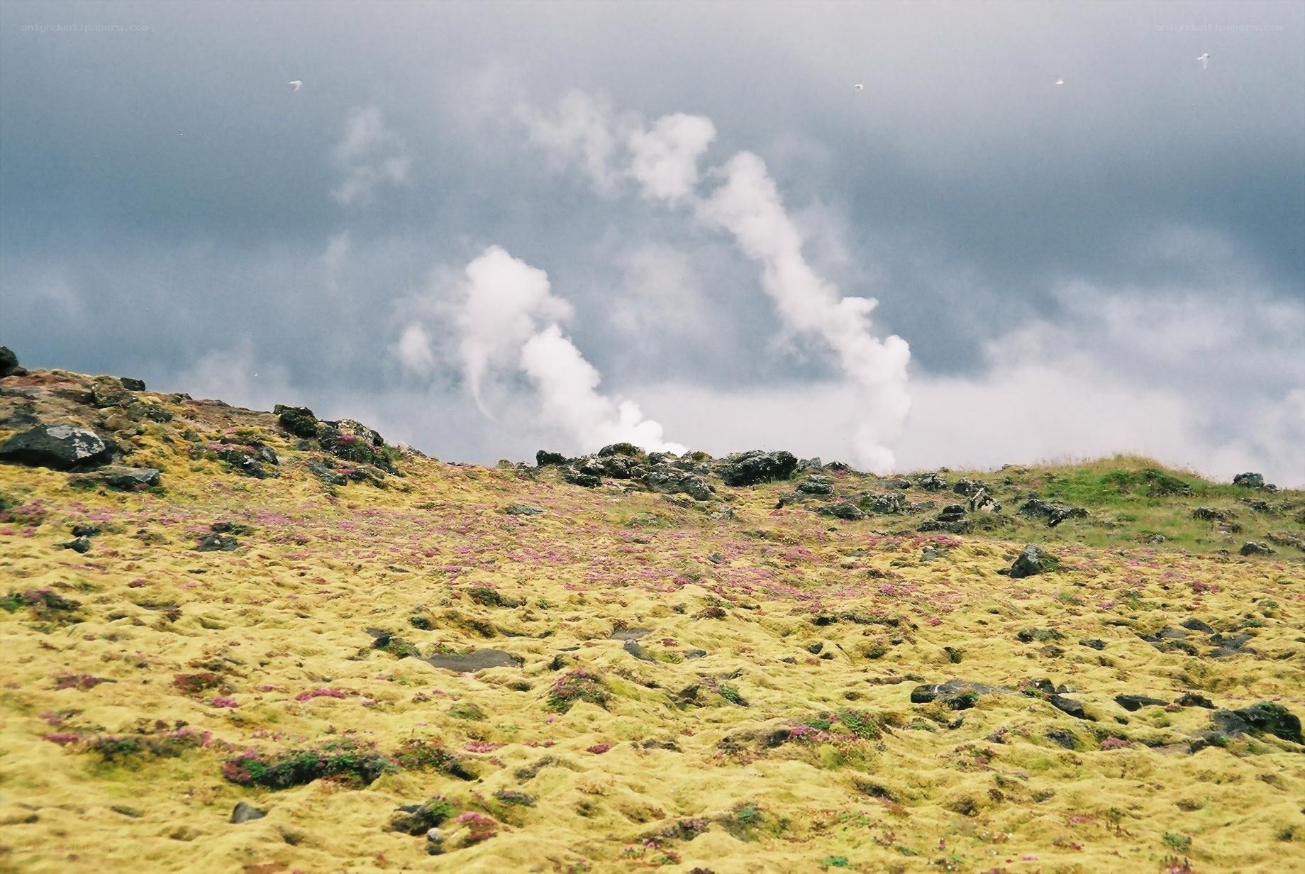 Mossy hill with steam vents