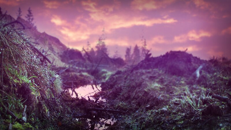 Mossy Hillside at Dusk