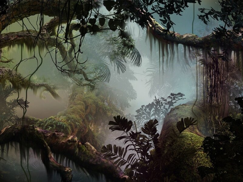 Mossy Jungle Forest