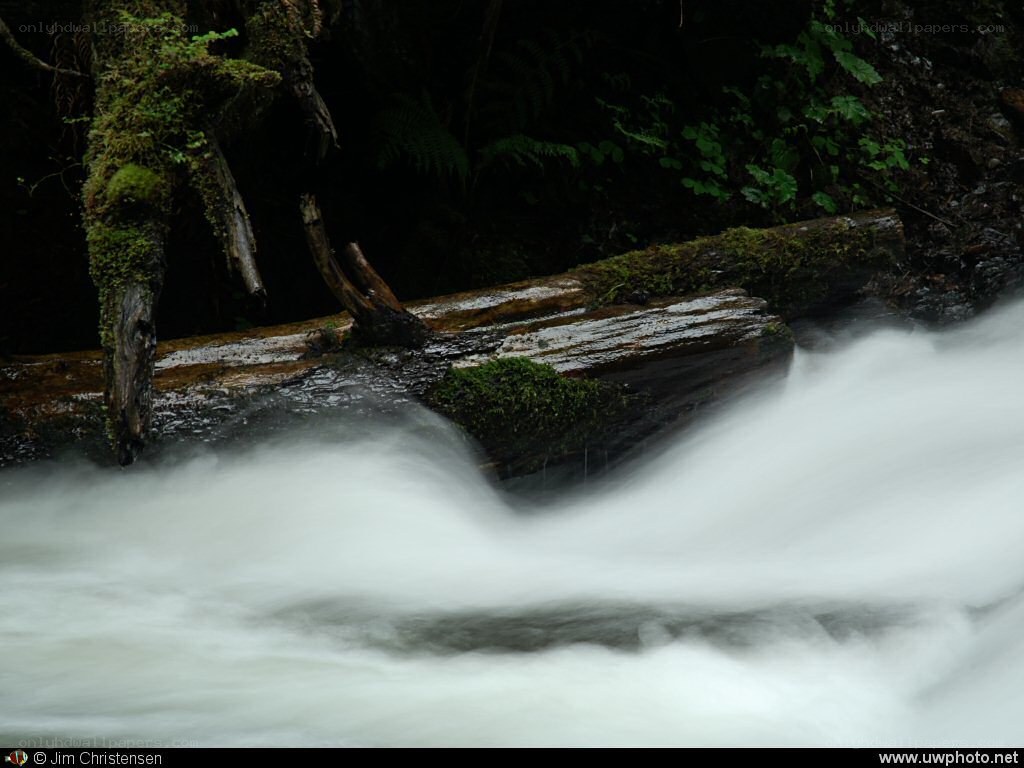 Mossy log in a rushing stream