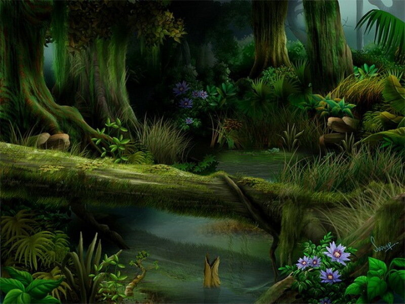 Mossy Log in Forest — Green