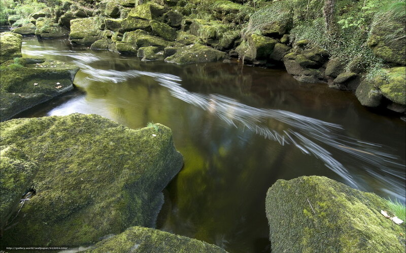 Mossy river flowing through rocks
