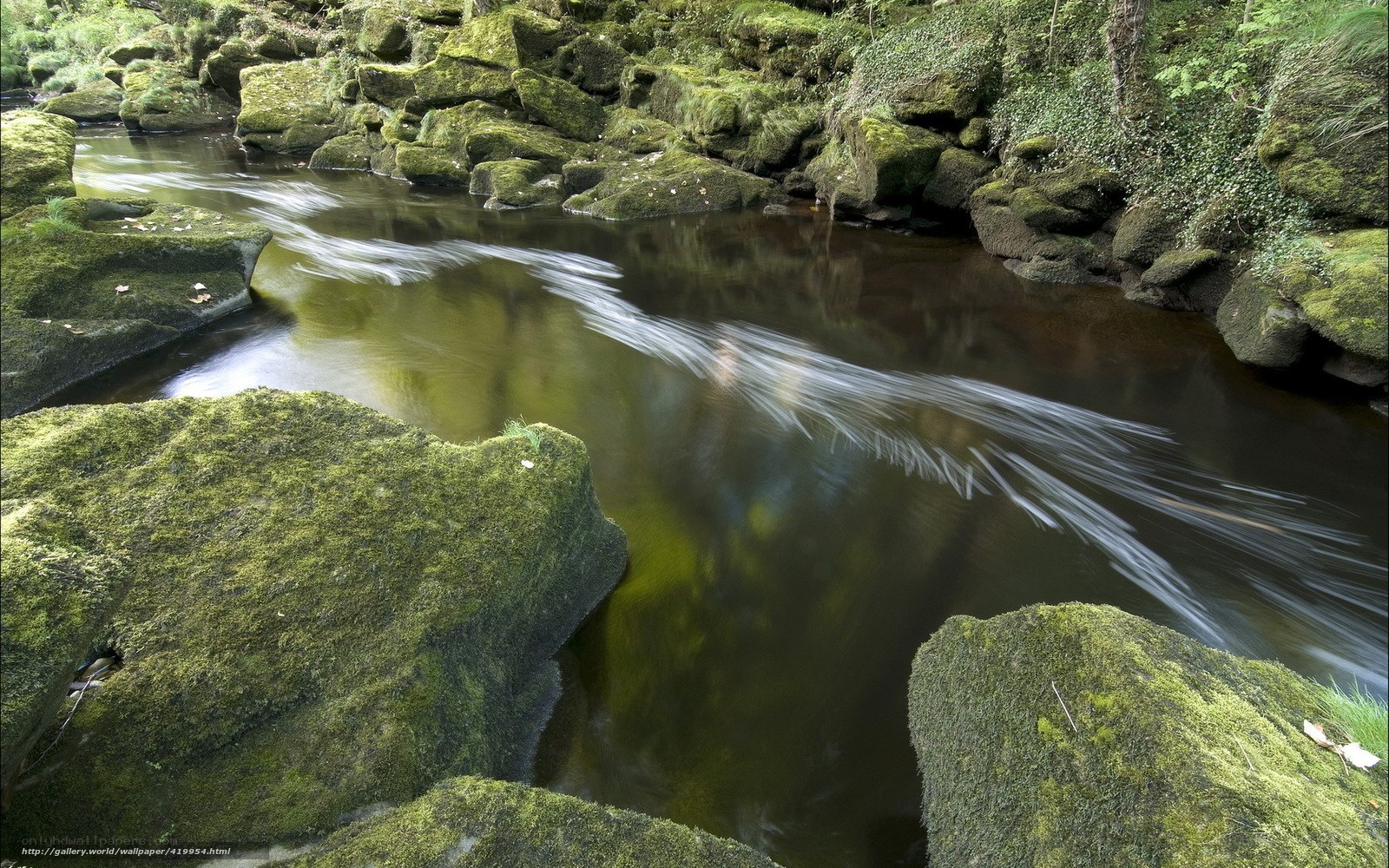 Mossy river flowing through rocks