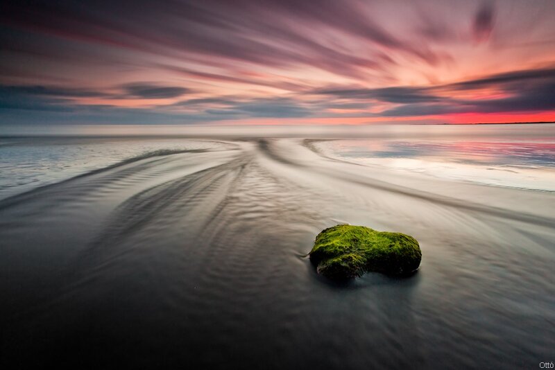 Mossy rock at sunset