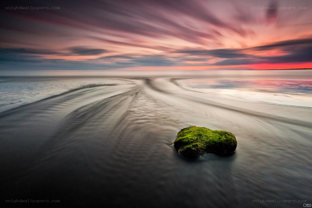 Mossy rock at sunset
