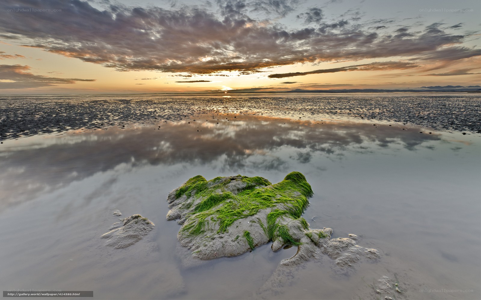 Mossy rock at sunset