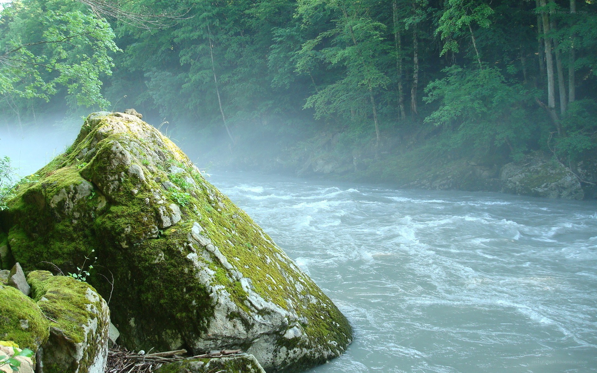 Mossy rock by a rushing river