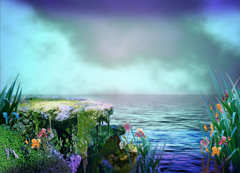 Mossy Rock by Water
