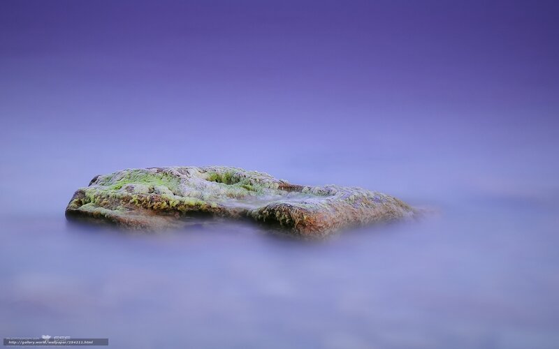 Mossy rock in calm water