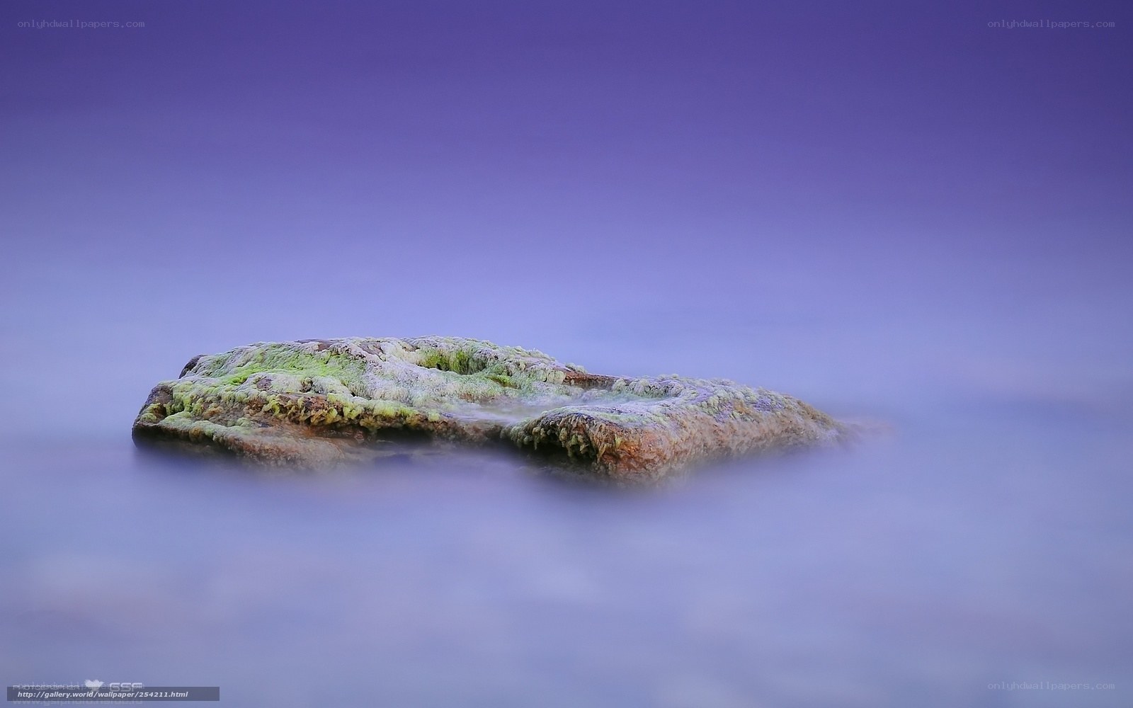 Mossy rock in calm water