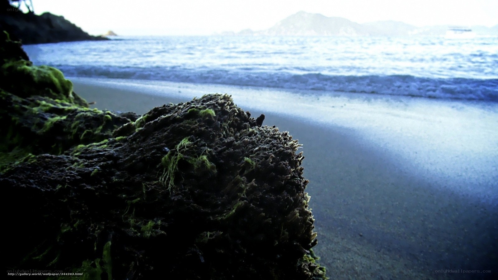 Mossy rock on a beach