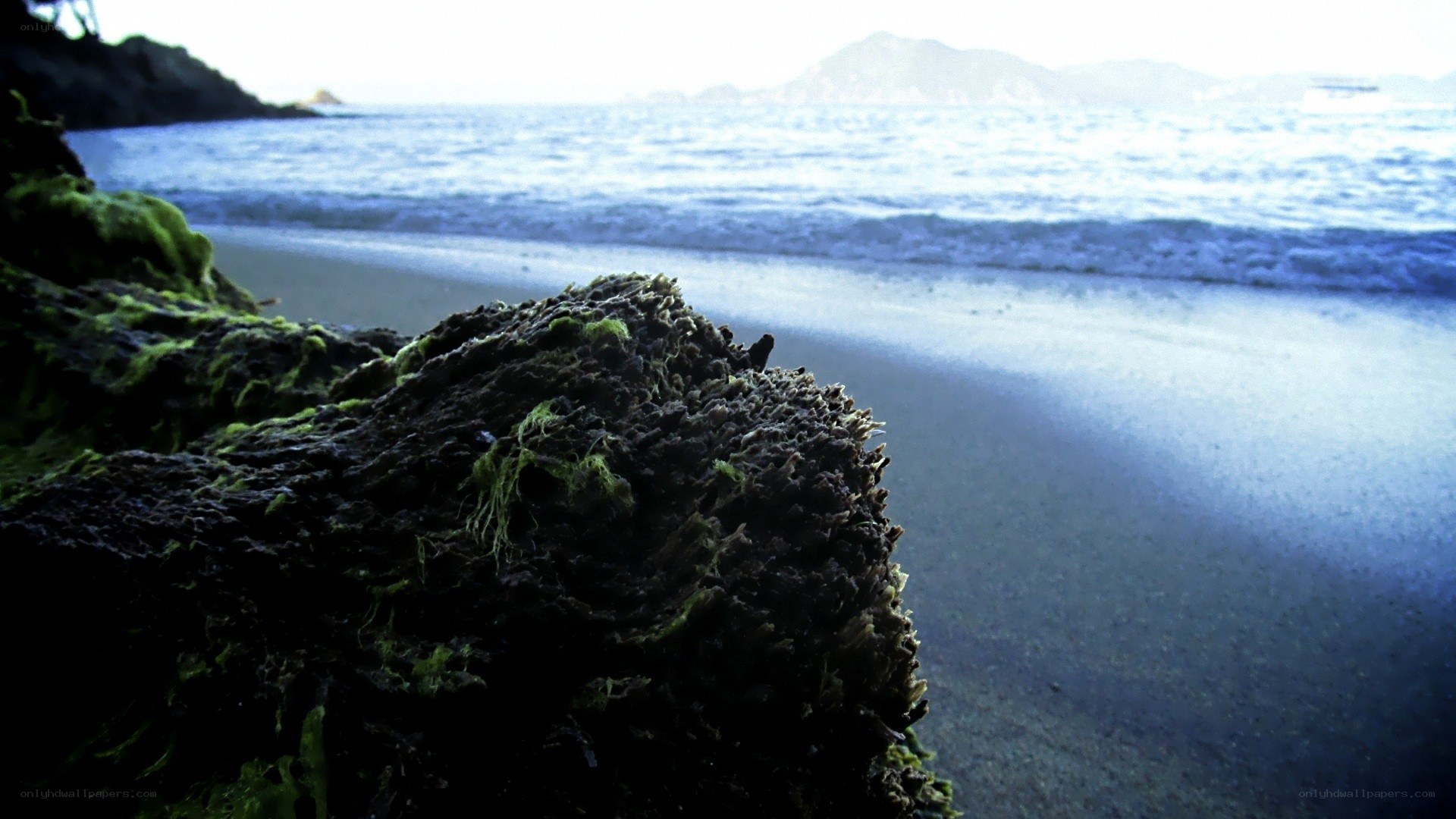 mossy rock on beach