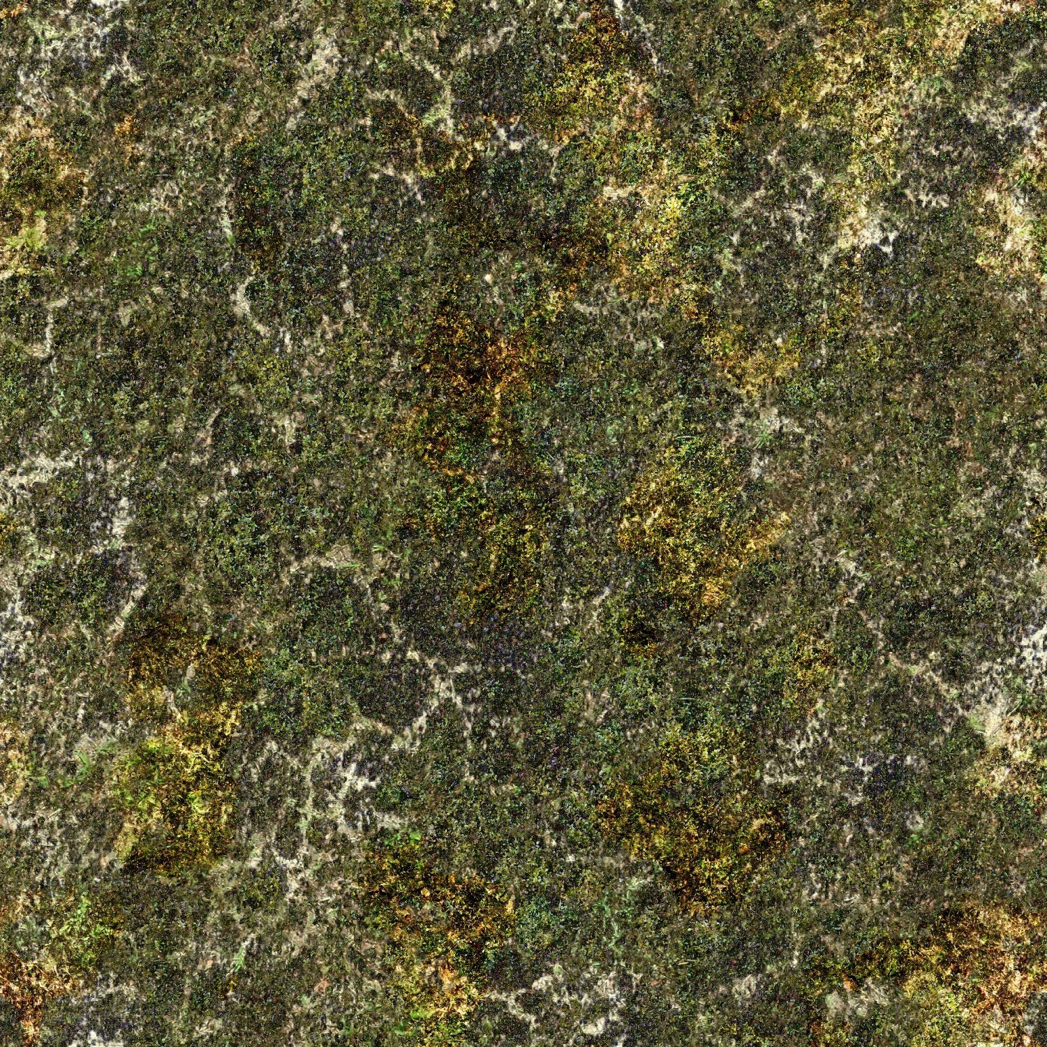 mossy rock texture
